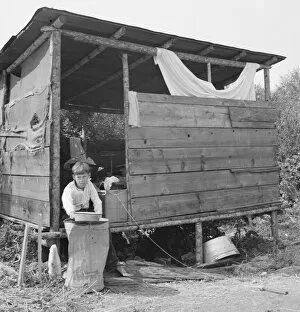 Refugee Camp Gallery: Grower provides fourteen such shacks in a row... near Grants Pass, Josephine County, Oregon, 1939