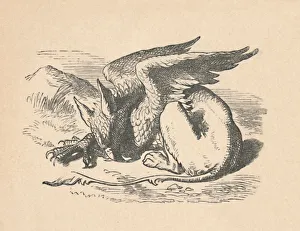 Nonsense Prints: The Gryphon asleep in the sun, 1889. Artist: John Tenniel
