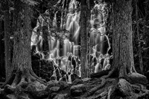 Pacific North West Prints: Guarded Dreams. Creator: Joshua Johnston