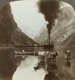 Pollution Gallery: Gudvangens outlook over the Naerofjord where the sea reaches far in among the mountains