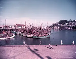 Laridae Prints: Gulls and boats in Brixham Harbour, Devon, c1955. Creator: Arthur Charles Kirby Ware