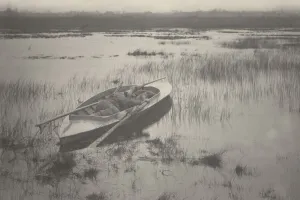 Fens Prints: Gunner Working Up to Fowl, 1886. Creators: Dr Peter Henry Emerson