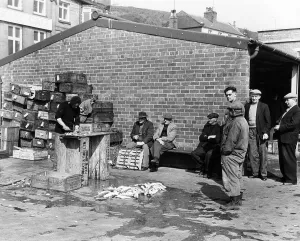 Warehouse Prints: Gutting fish outside a warehouse in Whitby, North Yorkshire, 1959