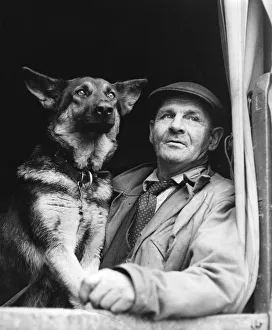 Boxall Prints: Gypsy man with dog, 1960s