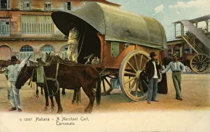 Habana - A Merchant Cart, Carromato, c1910. Creator: Unknown