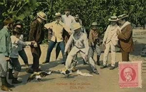 Habana: Rina de Gallos. Cock Fight, 1918