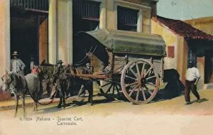 Habana - Spanish Cart. Carromato, c1907
