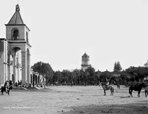 Ranch Prints: Hacienda Peotillos, between 1880 and 1897. Creator: William H. Jackson
