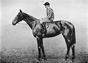 Horses Gallery: Hacklers Pride, c1860, (1911)