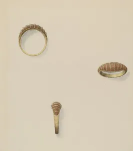 John H Prints: Hair Ring, c. 1937. Creator: John H. Tercuzzi