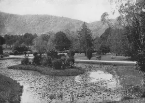 Nuwara Eliya Prints: Hakgalla Gardens from the Lotus Pond