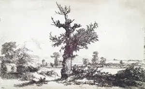 1826 Prints: Halliford on Thames: Stump of a Tree in Centre, c1826. Creator: Andrew Geddes