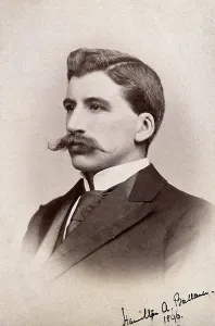 1896 Prints: Hamilton A Balance, 1896. Creator: Unknown