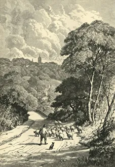Hampstead, from the Kilburn Road, c1876. Creator: Unknown