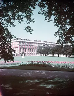 Tulipa Prints: Hampton Court, Middlesex, c1955. Creator: Arthur Charles Kirby Ware