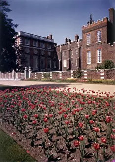 Tulipa Prints: Hampton Court, Middlesex, c1955. Creator: Arthur Charles Kirby Ware