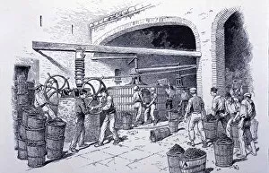 Detail of hand-presses at a winery, engraving, 1900