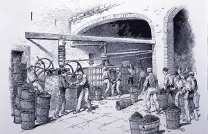 Winery Prints: Detail of hand-presses at a winery, engraving, 1900