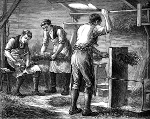 Fibre Prints: Hand-scutchers at work, c1880