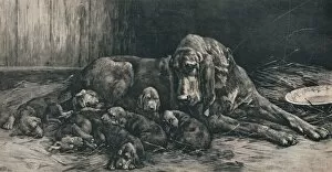 Puppy Gallery: The Happy Mother, 1894, (1911). Artist: Herbert Thomas Dicksee