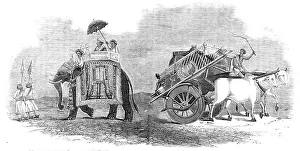 Whipping Prints: Harbee Nawab and Attendants - Elephant Prince; Bullock Cart for Removing Luggage