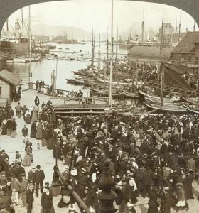 Bergen Prints: The harbor, N. W. from the market-place in Bergen