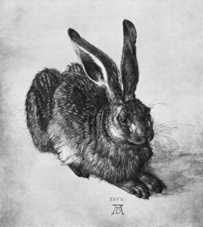 Images Dated 12th October 2007: Hare, 1502, (1936). Artist: Albrecht Durer