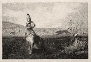 The Hare (after A. de Balleroy), 1865. Creator: Felix Bracquemond (French, 1833-1914)