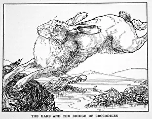 Hare Prints: The Hare and the Bridge of Crocodiles, 1925
