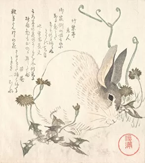 Dandelion Gallery: Hare and Dandelion?, probably 1820. Creator: Kubo Shunman
