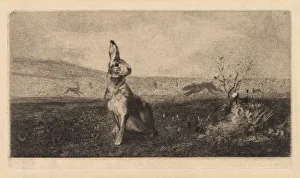 The Hare (Le Lievre), 1865. Creator: Felix Bracquemond (French, 1833-1914)