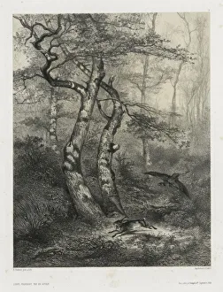 Hare Pursued by a Goshawk, 1858. Creator: Karl Bodmer (Swiss, 1809-1893);Goupil & Co