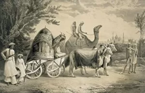 Bovine Collection: Harem Carriage of the King of Delhi, pub. 1858. Creator: A. Soltykoff (1806?1859)