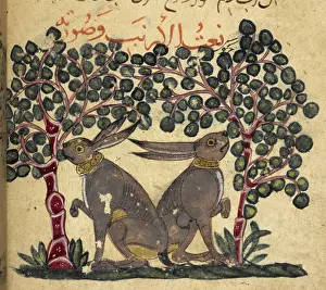 Hare Prints: Two hares eating berries, 13th century. Creator: Unknown