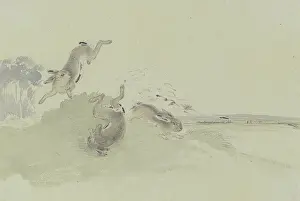 Surprise Prints: Three hares startled by the railway, mid-19th century. Creator: Friedrich Wilhelm Keyl