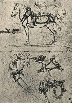 Carthorse Collection: A Harnessed Cart-Horse and Studies of Harness, c1480 (1945). Artist: Leonardo da Vinci