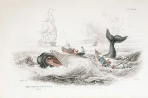 Conservation Prints: Harpooning a Sperm Whale, 1837. Artist: William Jardine