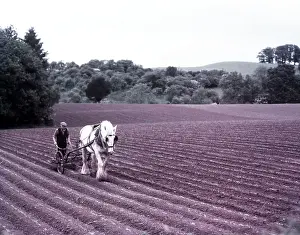 Machine Prints: Harrowing near Martley, Worcestershire, c1955. Creator: Arthur Charles Kirby Ware