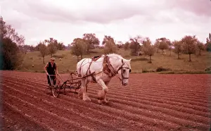 Machine Prints: Harrowing near Martley, Worcestershire, c1955. Creator: Arthur Charles Kirby Ware