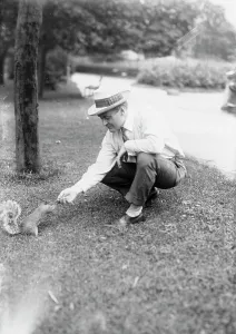 Squirrel Prints: Hart, between c1915 and c1920. Creator: Bain News Service
