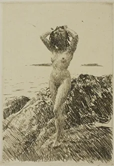 Seaweed Prints: Hårtång (Seaweed-wreath), 1914. Creator: Anders Leonard Zorn