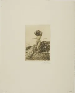 Seaweed Prints: Hårtång (Seawood-wreath), 1914. Creator: Anders Leonard Zorn