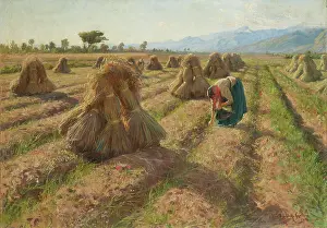 Harvest Prints: Harvest, 1898. Creator: Danielson-Gambogi, Elin (1861-1919)