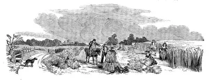 Crops Prints: Harvest Operations - Reaping, 1858. Creator: Unknown