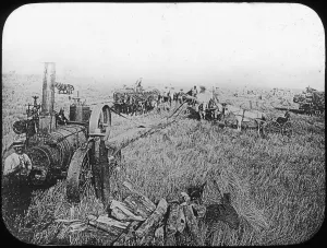 Harvest scene on the North American prairies, late 19th or early 20th century Harvest scene on the North American prairies, late 19th or early 20th century
