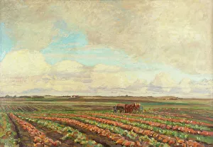 Arable Prints: Harvest of Turnips, 1925-1927. Creator: Fritz Syberg