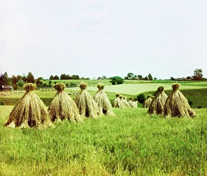 Harvested field, 1912. Creator: Sergey Mikhaylovich Prokudin-Gorsky
