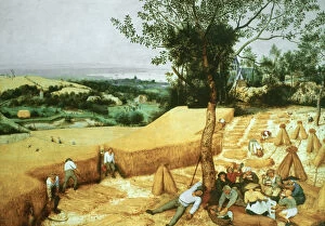 The Harvesters, 1565. Artist: Pieter Bruegel the Elder