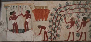 Egyptian Art Gallery: Harvesting grapes and Winemaking. The Tomb of Nakht, ca 1380 BC