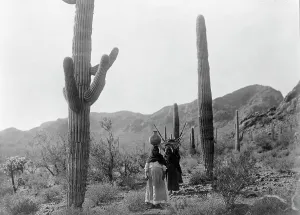 Arizona Prints: Hasen harvest B-Qahatika. Three women walking through desert